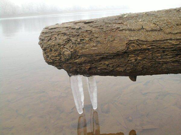 563e36eea4490_0889.thumb.jpg.2fca1823c30