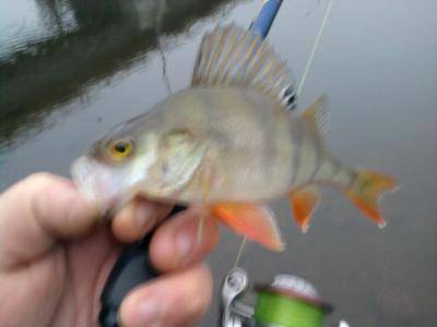 563e39c73e0b9_0895.thumb.jpg.35217d8de05