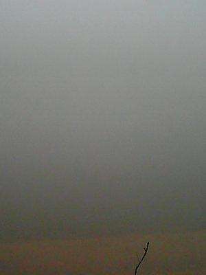 563e64222f750_6-7005.thumb.jpg.d6cede6f4