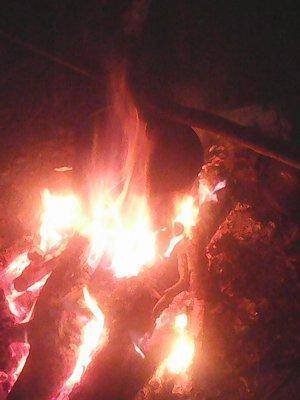 563e655e8c152_6-7018.thumb.jpg.477875add