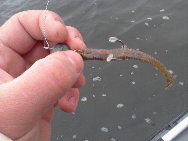 563f71c21871b_-0014.thumb.jpg.ad2327b66f