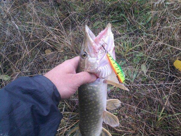 564395bf32ce4_0869.thumb.jpg.321c9a65106