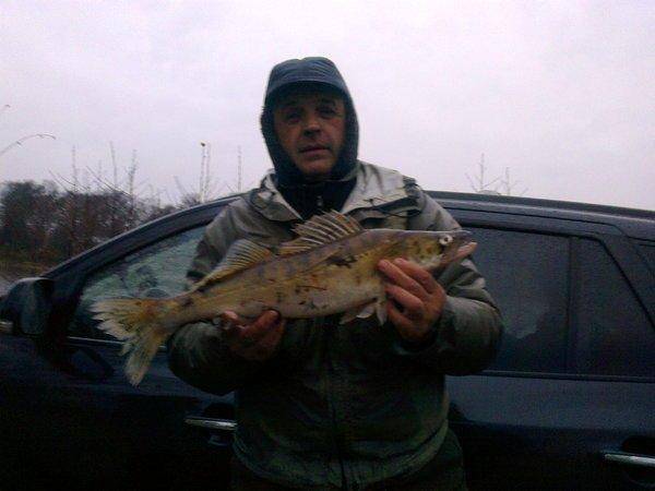 5648f1b833a28_1651.thumb.jpg.760f2e6d0e8