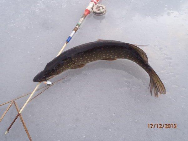 жерлицы 016.JPG