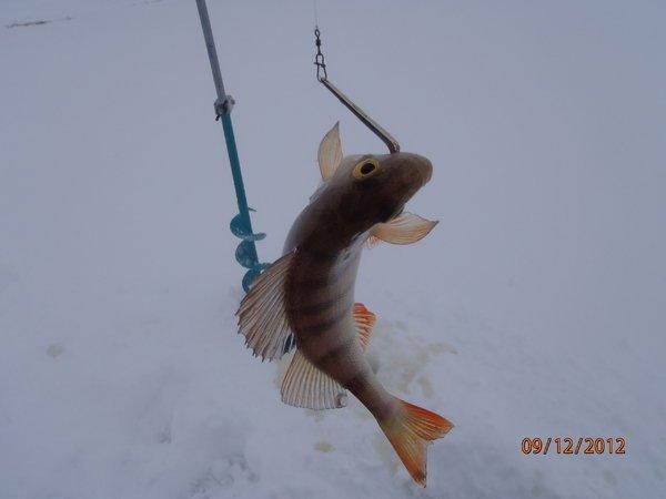 наволок открытие 051.JPG