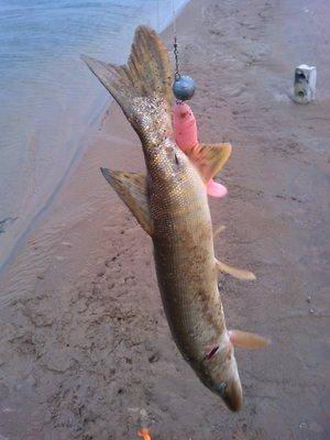 5659cb3b80bdc_IMG_20151128_1147321.thumb