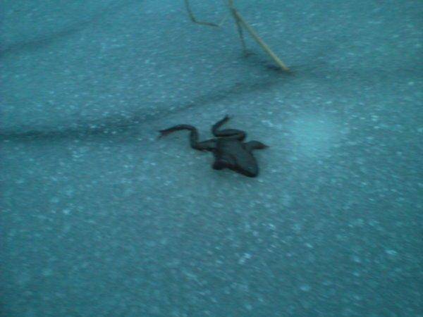 565b168e04239_-0025.thumb.jpg.126a2582dd