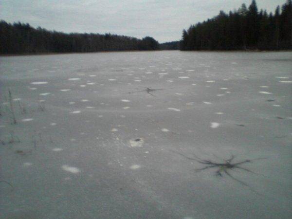 565b1692642cf_-0026.thumb.jpg.d3eded365f