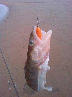 IMG_20151121_143015.thumb.jpg.3217a1801d