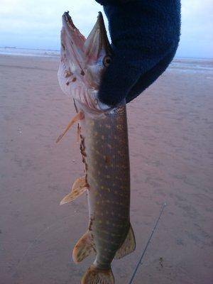 IMG_20151121_143927.thumb.jpg.b3d8126c3f