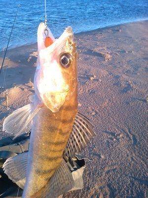 IMG_20151122_094747.thumb.jpg.9116f1499c