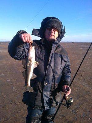 IMG_20151122_133218.thumb.jpg.9d71e22656