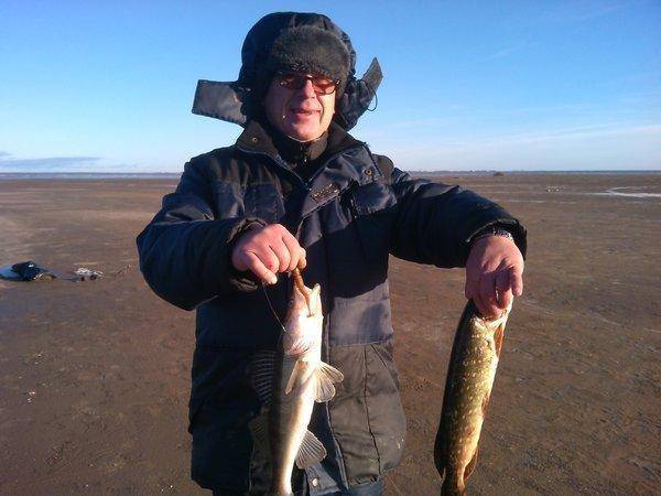 IMG_20151122_133304.thumb.jpg.9851af93c0