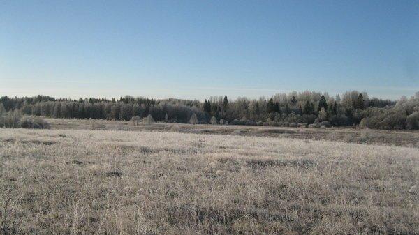 IMG_6103.thumb.JPG.060bc58957acac5bfc7e3