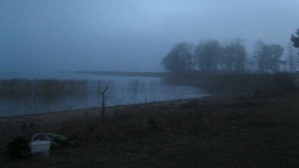 IMG_6115.thumb.JPG.95534f60efc52da4babad