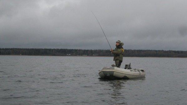 IMG_6142.thumb.JPG.16aadeb7bb8036d60a11f