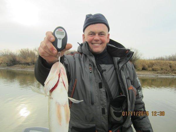 IMG_7515.thumb.JPG.86cfa4847e85ad6bc64b0