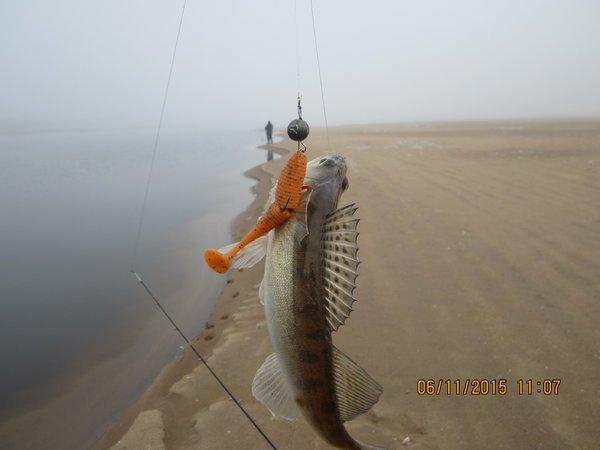 IMG_7538.thumb.JPG.0d6ae74e6d2e108e4da0b