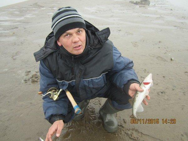 IMG_7540.thumb.JPG.463e82454ae7be5a20c0d