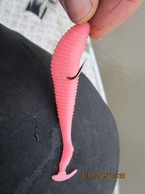 IMG_7658.thumb.JPG.ab54faa9476191e50c8df