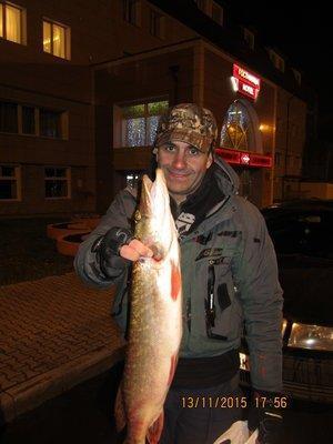 IMG_7663.thumb.JPG.20ed102c427f9f3a65748