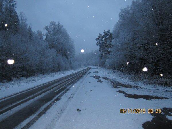 IMG_7668.thumb.JPG.646d4dc9db65019e1a9f7