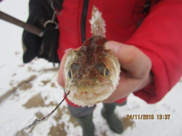 IMG_7686.thumb.JPG.673417d0d112ab45d13f9