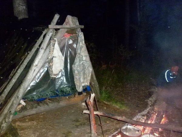 P1010723.thumb.JPG.613bdc4235f7f074b7fb4