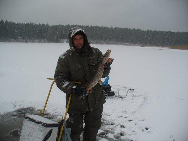 P1110333.thumb.JPG.bc89034a94831d0f15e57