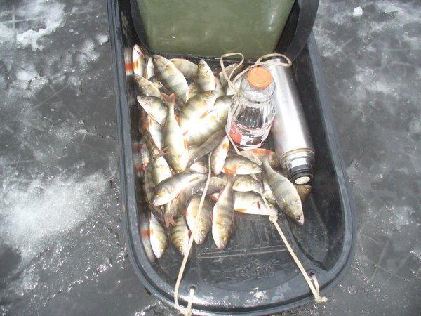 P1110338.thumb.JPG.0e1000af1465b43ef2826