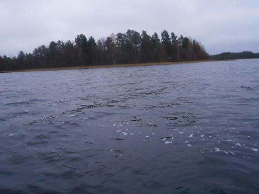 PA230262.thumb.JPG.4311bf1e68b7aeb04c316