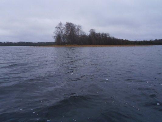 PA230264.thumb.JPG.9b114beaa3e8ecae785d9