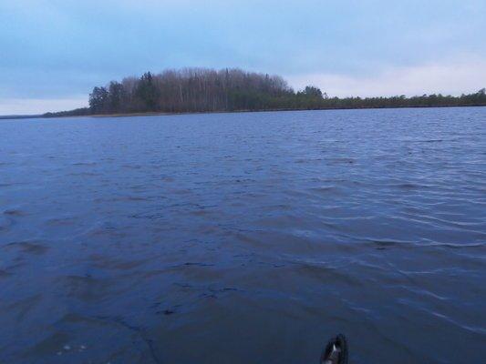 PA230268.thumb.JPG.03161288ebb30ce8c5666