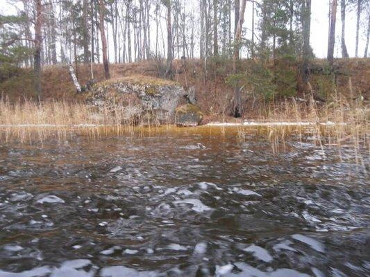 PA230270.thumb.JPG.9f38f9b22c600d9a7f45f