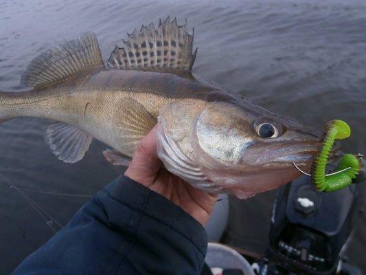 PA260279.thumb.JPG.fd0360729ed1cbc0104b9