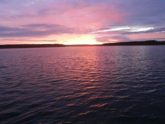 PA260283.thumb.JPG.31f59b0a2f7687612bc2d