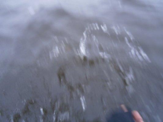 PB020293.thumb.JPG.e32e0efe7ab03b6dd2312