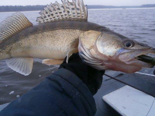 PB020295.thumb.JPG.c9e64f3aa77ec89eba6ec