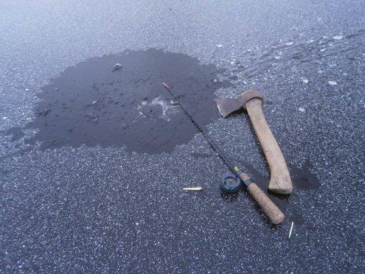 PB050303.thumb.JPG.bf9ac6b8f859ddf2c2831