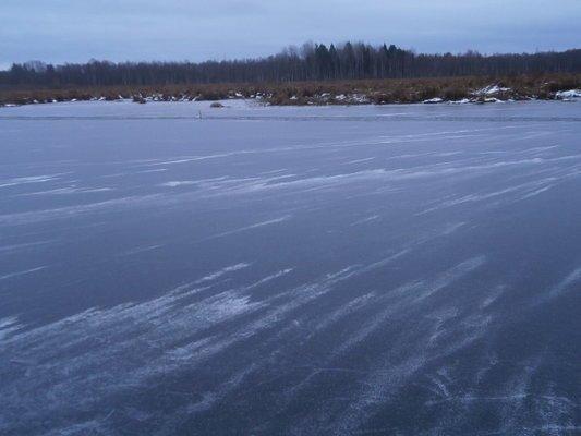 PB050304.thumb.JPG.65b99c0d998de6d64e39c