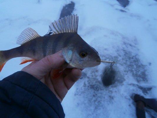 PB070302.thumb.JPG.9a1a7236e9affabc6c2a3