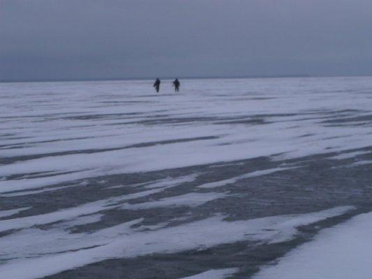 PB070304.thumb.JPG.578ad1297e3110ef20650