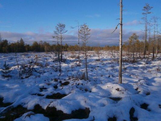 PB100323.thumb.JPG.b1872bb699c2dcfc5f514