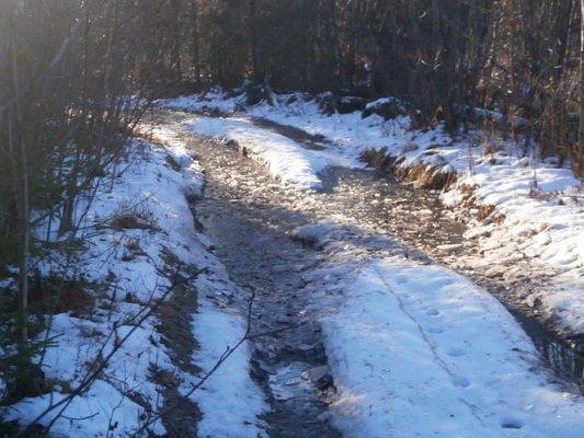 PB100325.thumb.JPG.c5de692eaac058a5eecc4