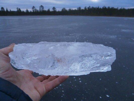 PB160354.thumb.JPG.577577d20ef5b67692fd6