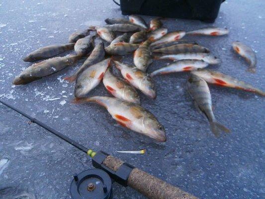 PB160357.thumb.JPG.cddf5f36077de640e2195