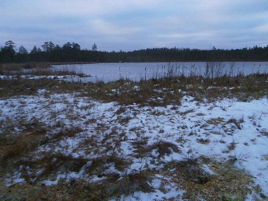 PB160358.thumb.JPG.c76b3cc37300e8ca2621a