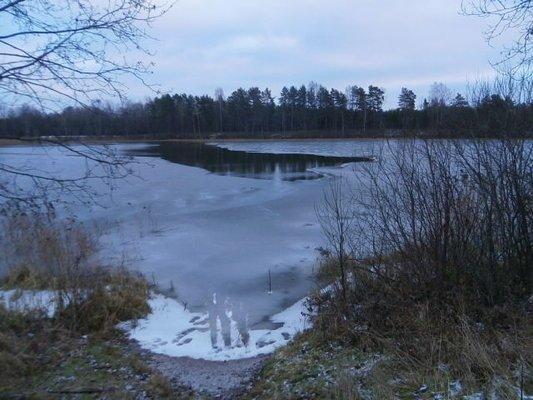 PB160359.thumb.JPG.1c24d4567d5a26c5813c7