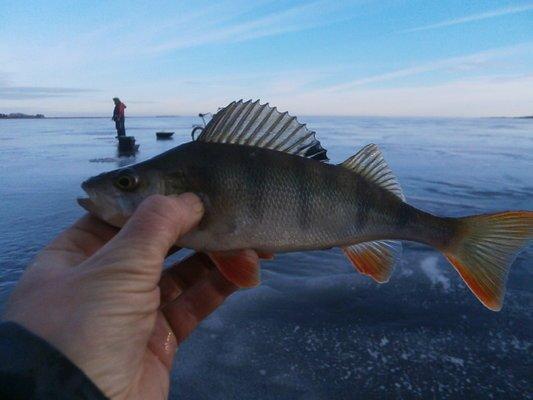 PB170366.thumb.JPG.d4ca88c0551acf5603f7b