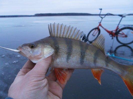 PB170367.thumb.JPG.6f838461f93aed48154a5